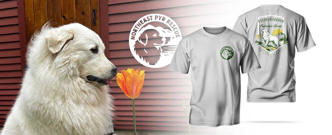 Northeast Pyr Rescue
